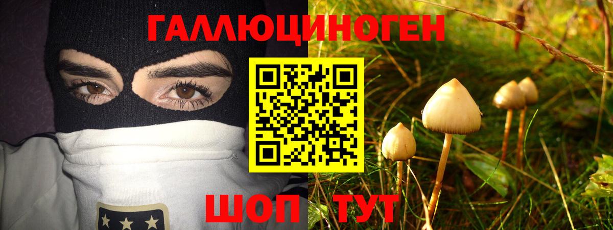 Галлюциногенные грибы мицелий  где можно купить   Галлюциногенные грибы прущие грибы  Анжеро-Судженск  Вход с VPN 